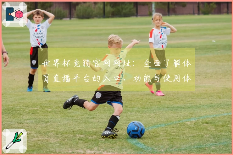 世界杯竞猜官网网址：全面了解体育直播平台的入口、功能与使用体验