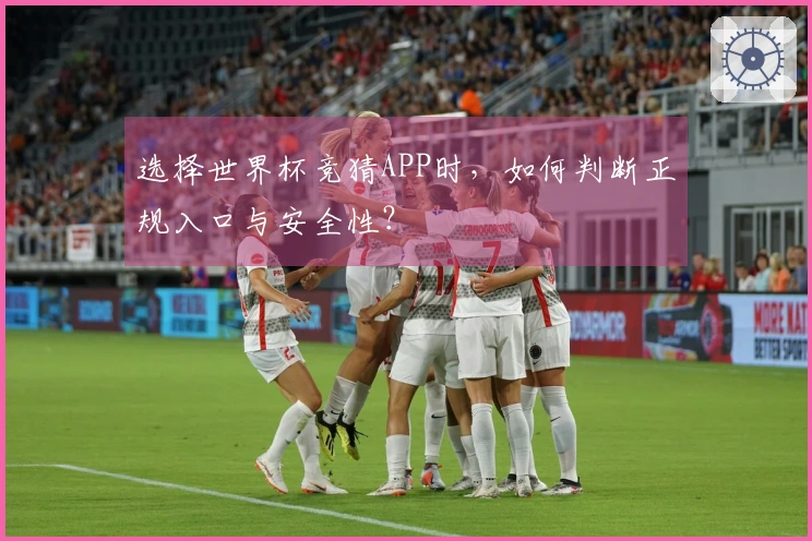 选择世界杯竞猜APP时，如何判断正规入口与安全性？