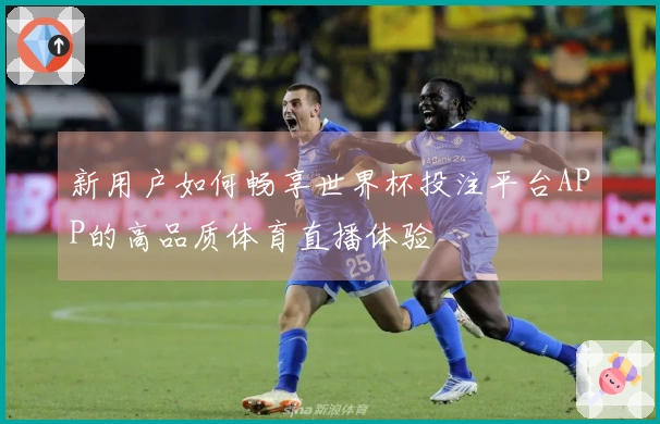 新用户如何畅享世界杯投注平台APP的高品质体育直播体验