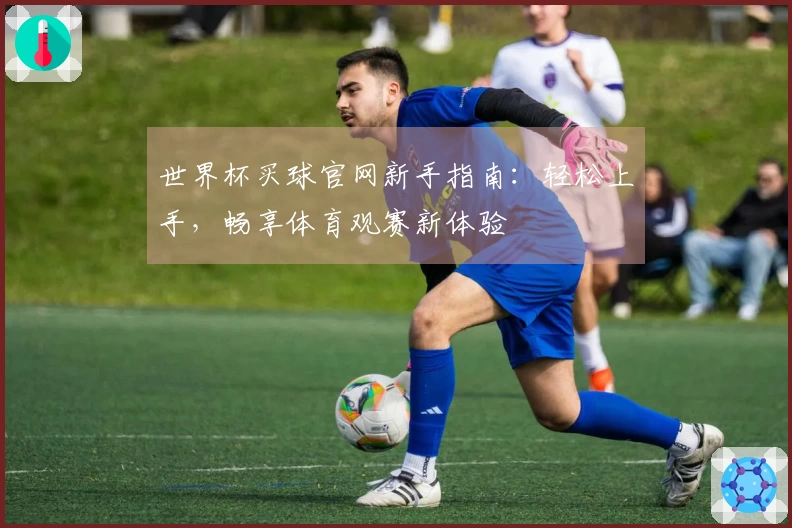 世界杯买球官网新手指南：轻松上手，畅享体育观赛新体验