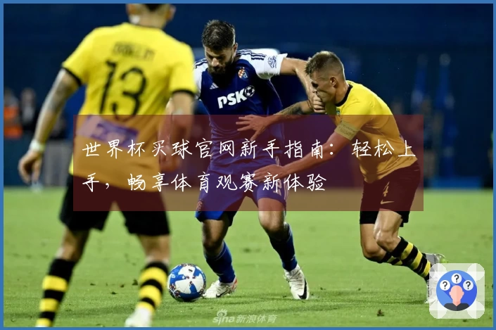 世界杯买球官网新手指南：轻松上手，畅享体育观赛新体验