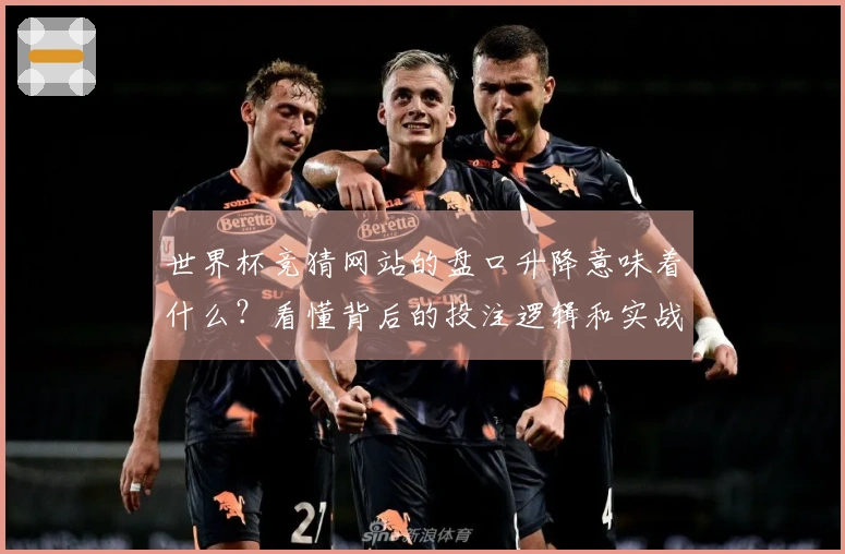 世界杯竞猜网站的盘口升降意味着什么？看懂背后的投注逻辑和实战经验分享