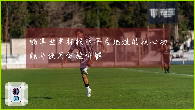 畅享世界杯投注平台地址的核心功能与使用体验详解