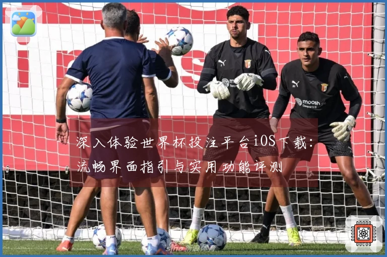 深入体验世界杯投注平台iOS下载：流畅界面指引与实用功能评测