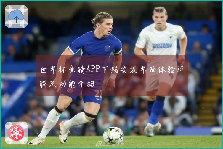 世界杯竞猜APP下载安装界面体验详解及功能介绍