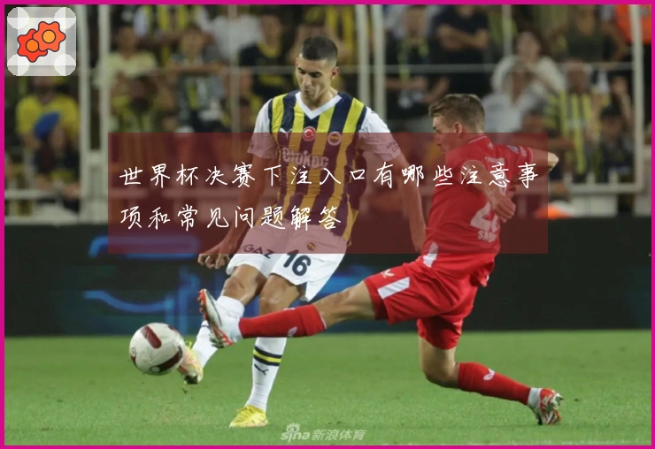 世界杯决赛下注入口有哪些注意事项和常见问题解答