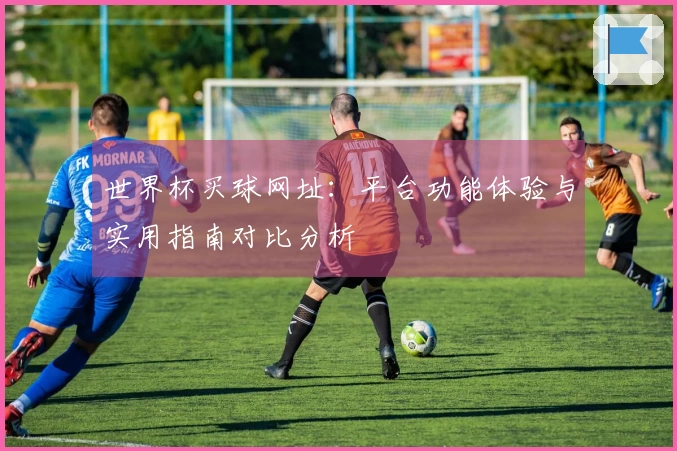 世界杯买球网址:平台功能体验与实用指南对比分析