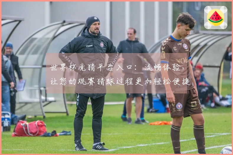 世界杯竞猜平台入口：流畅体验，让您的观赛猜球过程更加轻松便捷