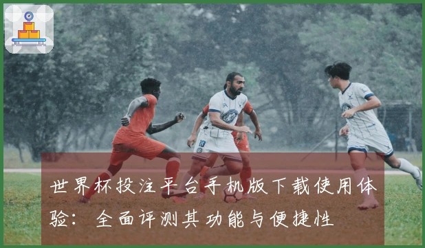 世界杯投注平台手机版下载使用体验：全面评测其功能与便捷性